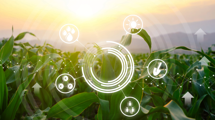 Valdir Agostinho Piran Junior