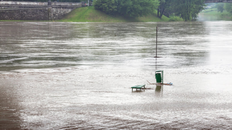 Gestão de redes sociais