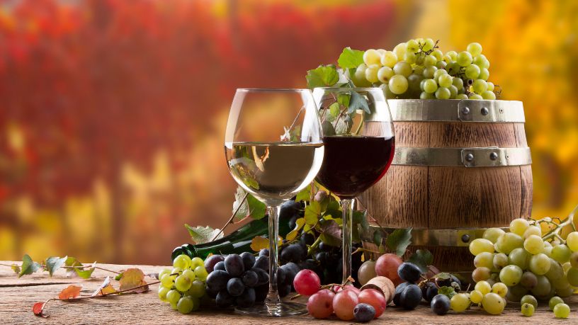 André Luiz Veiga Lauria