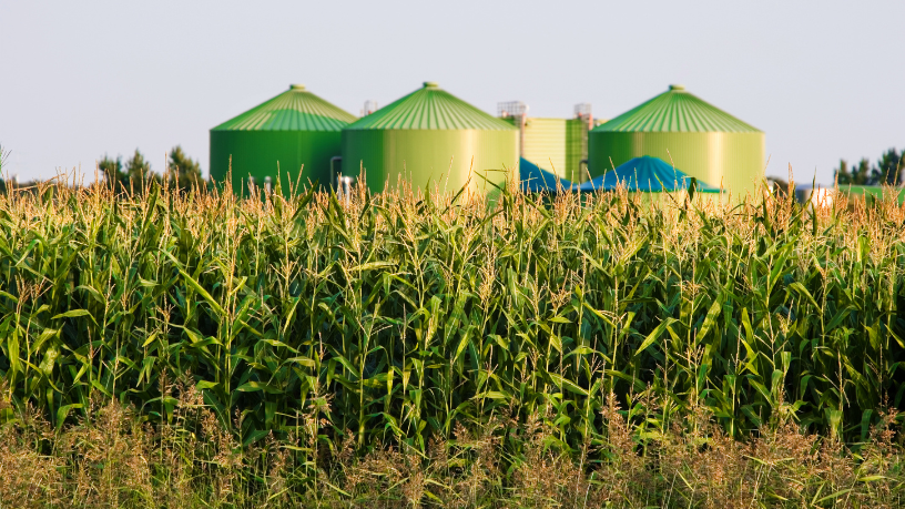 Para João Eustáquio De Almeida Junior, investir em capacitação contínua no agronegócio é o caminho para decisões mais eficientes, inovação no campo e sustentabilidade do negócio.